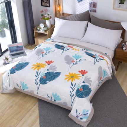 91家纺网 家纺一手货源 找家纺 一米阳光 2020新款大版水洗夏被 爱在深秋