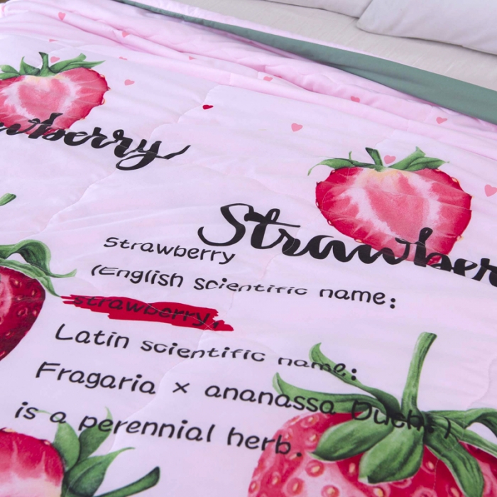 91家纺网 家纺一手货源 找家纺 一米阳光 2020新款大版水洗夏被 草莓