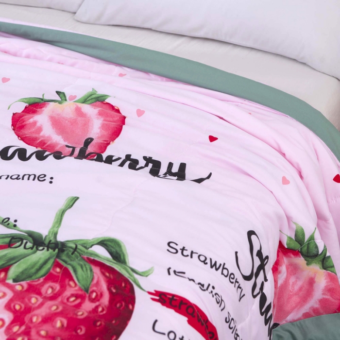91家纺网 家纺一手货源 找家纺 一米阳光 2020新款大版水洗夏被 草莓