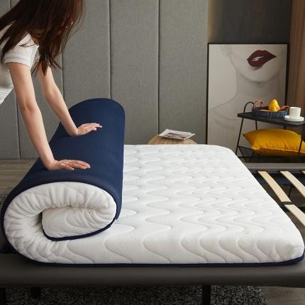 91家纺网 家纺一手货源 找家纺 欣罗兰垫业 2022新款床垫 月光白