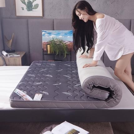 91家纺网 家纺一手货源 找家纺 欣罗兰垫业 2022新款床垫 羽毛