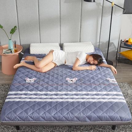 91家纺网 家纺一手货源 找家纺 （总）欣罗兰 2022新款纯色单边磨毛床垫