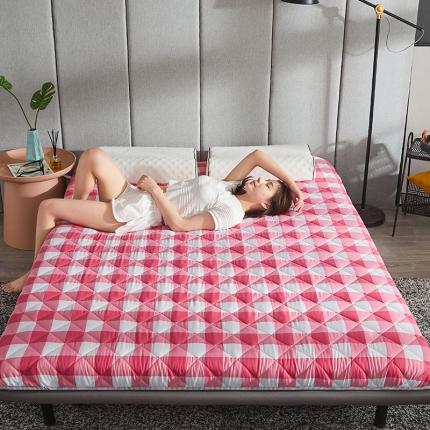欣罗兰 2022新款纯色单边磨毛床垫 都市 粉