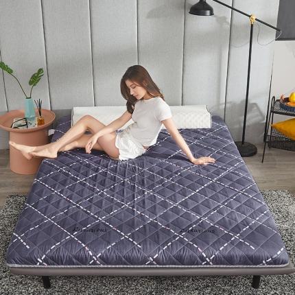 欣罗兰 2022新款纯色单边磨毛床垫 简爱