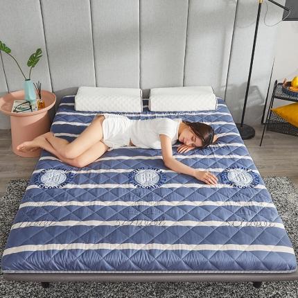 欣罗兰 2022新款纯色单边磨毛床垫 拾光