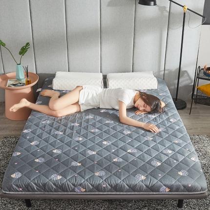 欣罗兰 2022新款纯色单边磨毛床垫 小刺猬