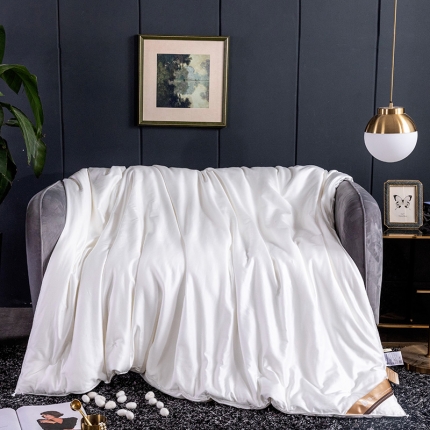 91家纺网 家纺一手货源 找家纺 蚕丝被 桑蚕丝被 纯蚕丝被 手工蚕丝被 新款蚕丝被