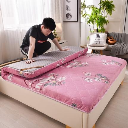 91家纺网 家纺一手货源 找家纺 富威堡新款磨毛加厚防滑床垫学生宿舍印花床垫 繁花似锦-红豆沙