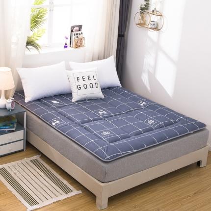 暖季家纺 2020新款磨毛印花床垫大床图 小胡子