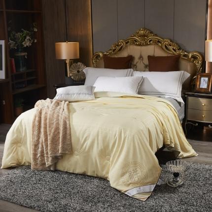 91家纺网 家纺一手货源 找家纺 （总）样样红 2025新款回字格春秋被冬被