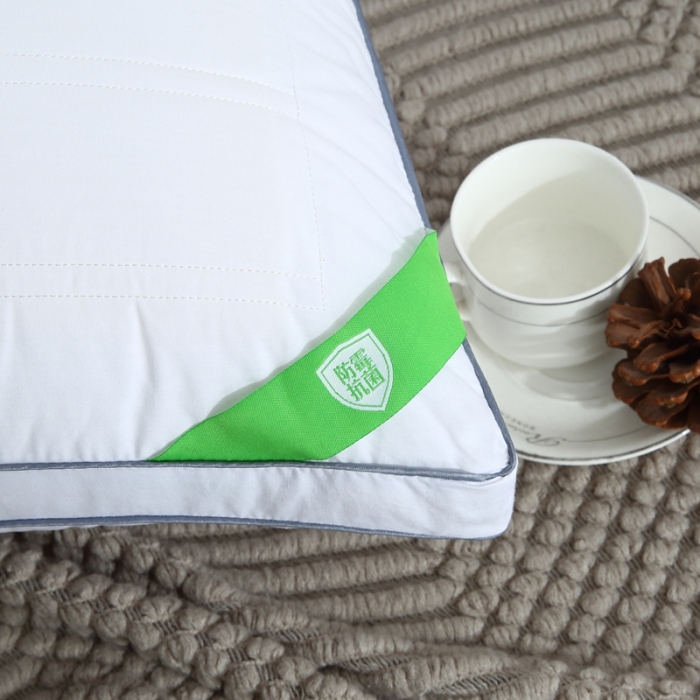 91家纺网 家纺一手货源 找家纺 （总）天意美 2020新款双边抗菌枕48*74cm一只