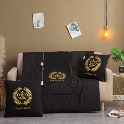 91家纺网 家纺一手货源 找家纺 （总） 宝马家纺 2022新款全棉帆布烫金抱枕被