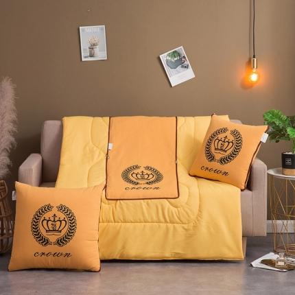 91家纺网 家纺一手货源 找家纺 （总） 宝马家纺 2022新款全棉帆布烫金抱枕被