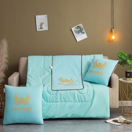 91家纺网 家纺一手货源 找家纺 （总） 宝马家纺 2022新款全棉帆布烫金抱枕被