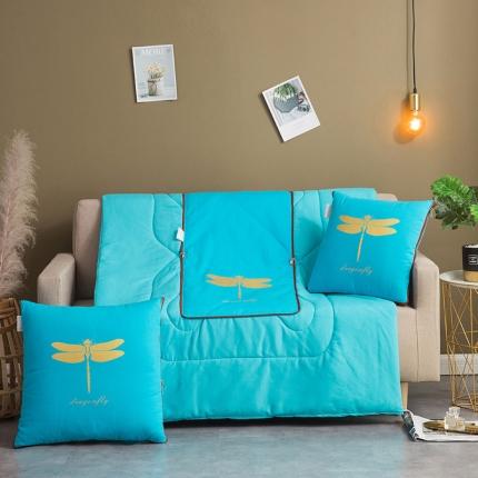 91家纺网 家纺一手货源 找家纺 （总） 宝马家纺 2022新款全棉帆布烫金抱枕被