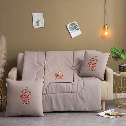 91家纺网 家纺一手货源 找家纺 （总） 宝马家纺 2022新款全棉帆布烫金抱枕被