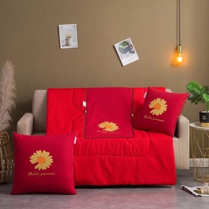 91家纺网 家纺一手货源 找家纺 （总） 宝马家纺 2022新款全棉帆布烫金抱枕被