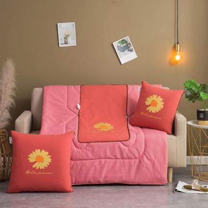 91家纺网 家纺一手货源 找家纺 （总） 宝马家纺 2022新款全棉帆布烫金抱枕被