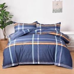 六阁家纺 加厚芦荟棉四件套 双面磨毛四件套  真爱永恒