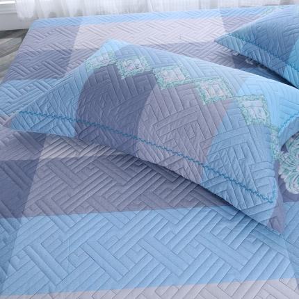 91家纺网 家纺一手货源 找家纺 （总）OL 2021新款13372全棉夹棉活性印染单品枕套