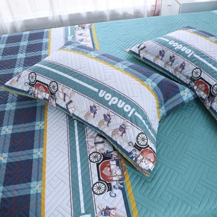 91家纺网 家纺一手货源 找家纺 （总）OL 2021新款13372全棉夹棉活性印染单品枕套