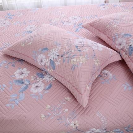 OL 2021新款13372全棉夹棉活性印染单品枕套 春晓-梦