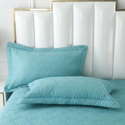 OL 2020长绒棉60S肌理纹全棉婚庆夹棉单枕套 圆点蓝