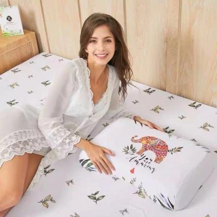 91家纺网 家纺一手货源 找家纺 佳梦达2020大象乳胶枕女士平滑枕58*35*8/10cm