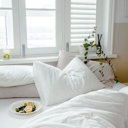 （总）华超针织 2021新款针织纯色单枕套单只1