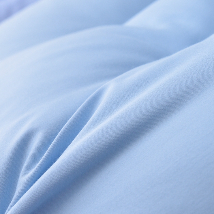 91家纺网 家纺一手货源 找家纺 星芯合家纺 2024新款冰丝枕48*74 蓝