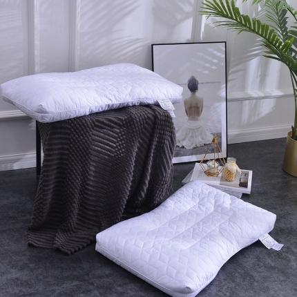 星芯合家纺 2024新款全荞麦枕48*74