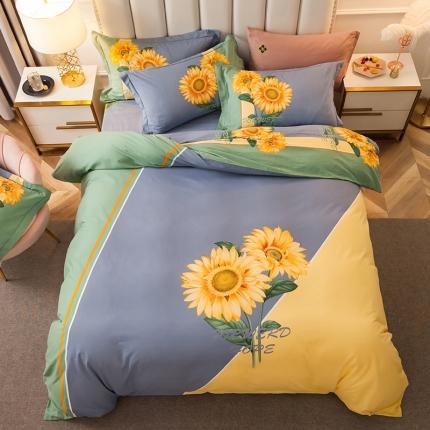 雲归梦 2020新款全棉生态磨毛大版四件套 冬季恋歌