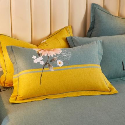 91家纺网 家纺一手货源 找家纺 （总）雲归梦 2020新款多规格全棉加厚磨毛单枕套一对