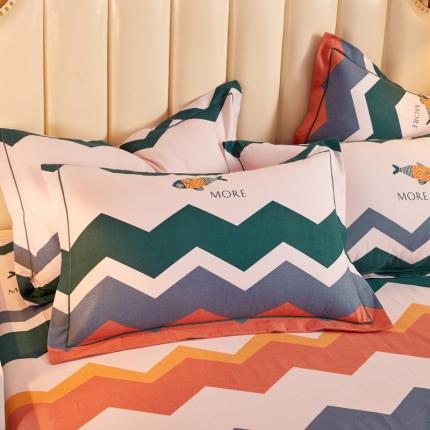 雲归梦 2020新款多规格全棉加厚磨毛单枕套一对 彩色乐园