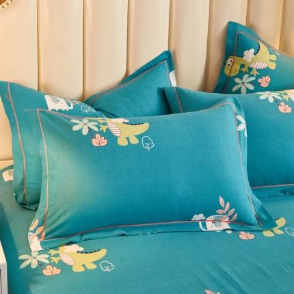 雲归梦 2020新款多规格全棉加厚磨毛单枕套一对恐龙乐园-蓝