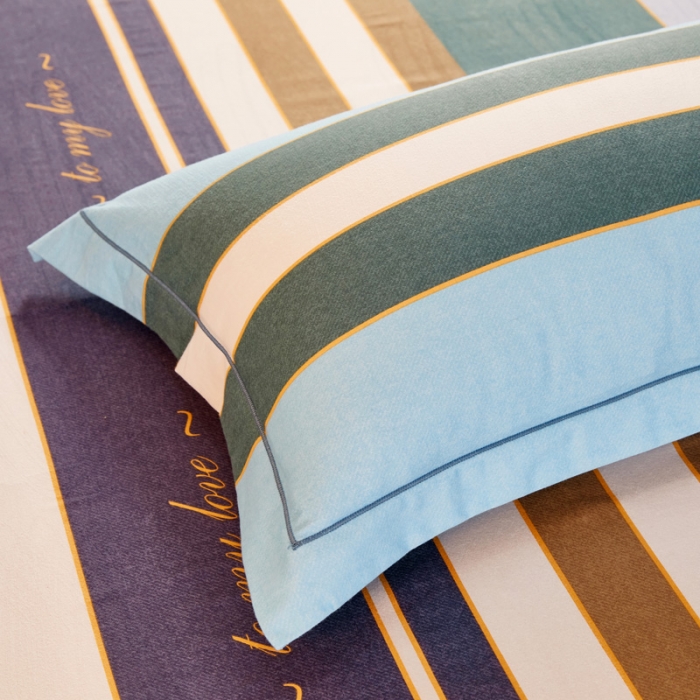 91家纺网 家纺一手货源 找家纺 雲归梦 2020新款多规格全棉加厚磨毛单枕套一对 小资小调