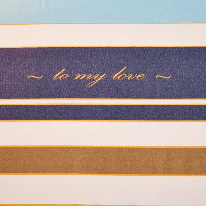 91家纺网 家纺一手货源 找家纺 雲归梦 2020新款多规格全棉加厚磨毛单枕套一对 小资小调