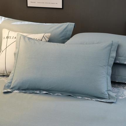 雲归梦 2020新款多规格全棉加厚磨毛单枕套一对 伊莲娜