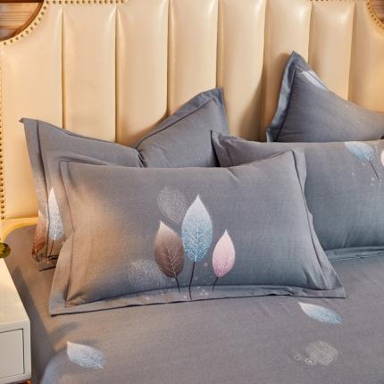 雲归梦 2020新款多规格全棉加厚磨毛单枕套一对 羽叶-灰