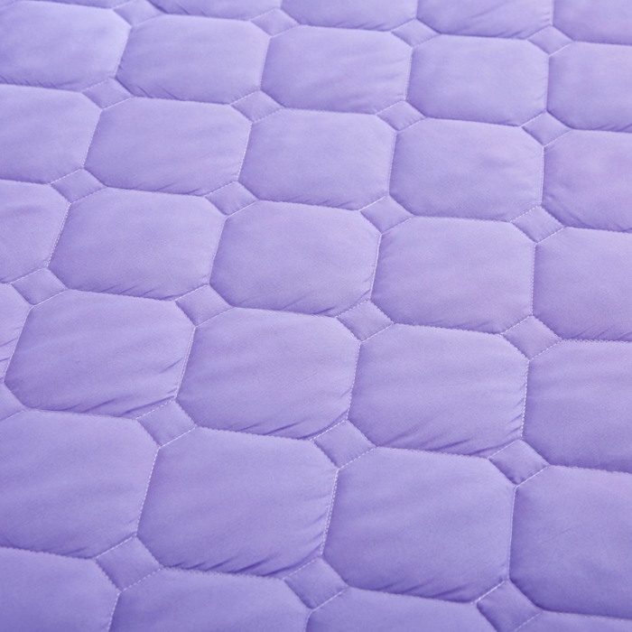 91家纺网 家纺一手货源 找家纺 艾裙海 2025新款纯色磨毛夹棉单床裙 紫色