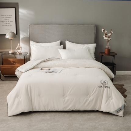 91家纺网 家纺一手货源 找家纺 头等舱 秋冬纯天然全棉棉花被 刺绣棉花白