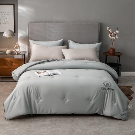 91家纺网 家纺一手货源 找家纺 头等舱 秋冬纯天然全棉棉花被 刺绣棉花灰