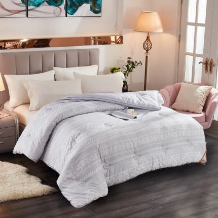 91家纺网 家纺一手货源 找家纺 （总）啊雅家居 2025新款富贵绒大豆纤维羽丝绒被冬被