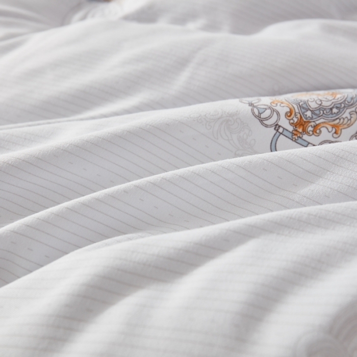 91家纺网 家纺一手货源 找家纺 啊雅家居2025新款富贵绒大豆纤维羽丝绒被冬被 镶边款欧8灰