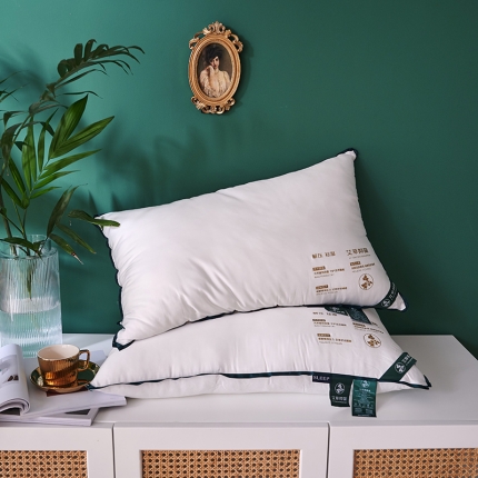 91家纺网 家纺一手货源 找家纺 （总）赛格时代家居  枕芯  艾草亲肤羽丝绒枕