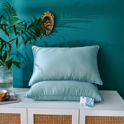 91家纺网 家纺一手货源 找家纺 （总）赛格时代家居   枕芯  亲肤羽丝绒枕