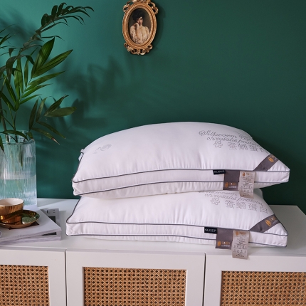 91家纺网 家纺一手货源 找家纺 （总）赛格时代家居  枕芯  蚕蛹蛋白亲肤羽丝绒枕