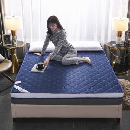 欣罗兰2022新款床垫 透气款斜纹-蓝