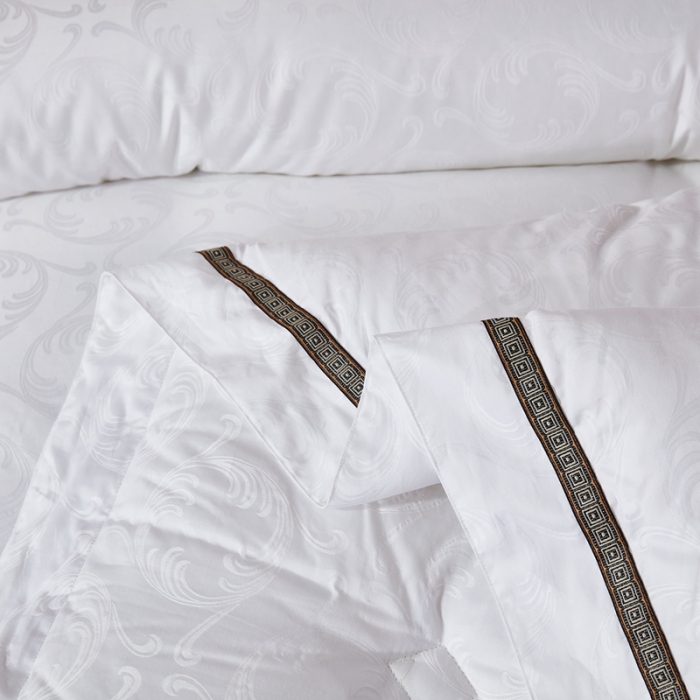 91家纺网 家纺一手货源 找家纺 啊雅家居 2025新款60S全棉贡缎提花大豆羽丝绒被 洁白色