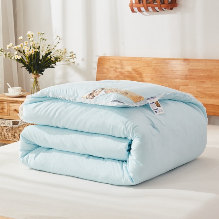 91家纺网 家纺一手货源 找家纺 啊雅家居2025新款肌理纹绣花花边羽丝绒被夜香梅 天兰色